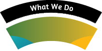 What We Do